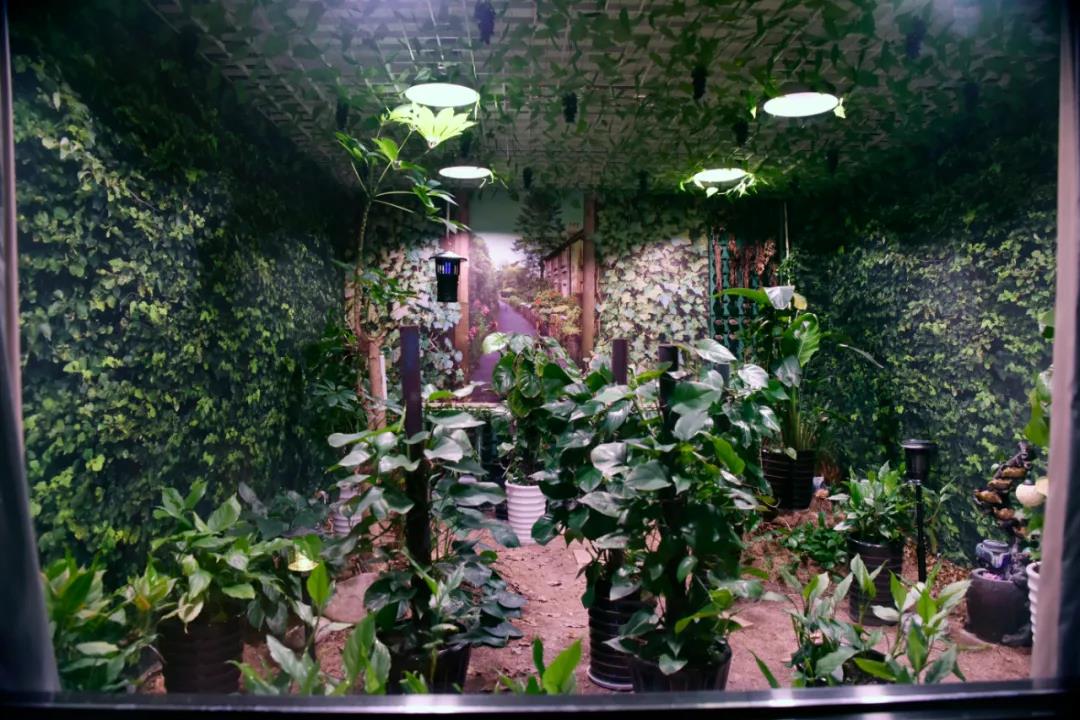 1623233593481020438.jpg 02.jpg